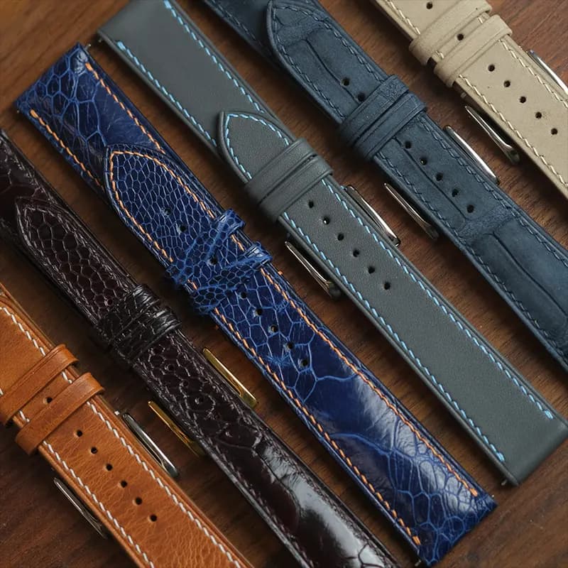 Fossil Watch Strap