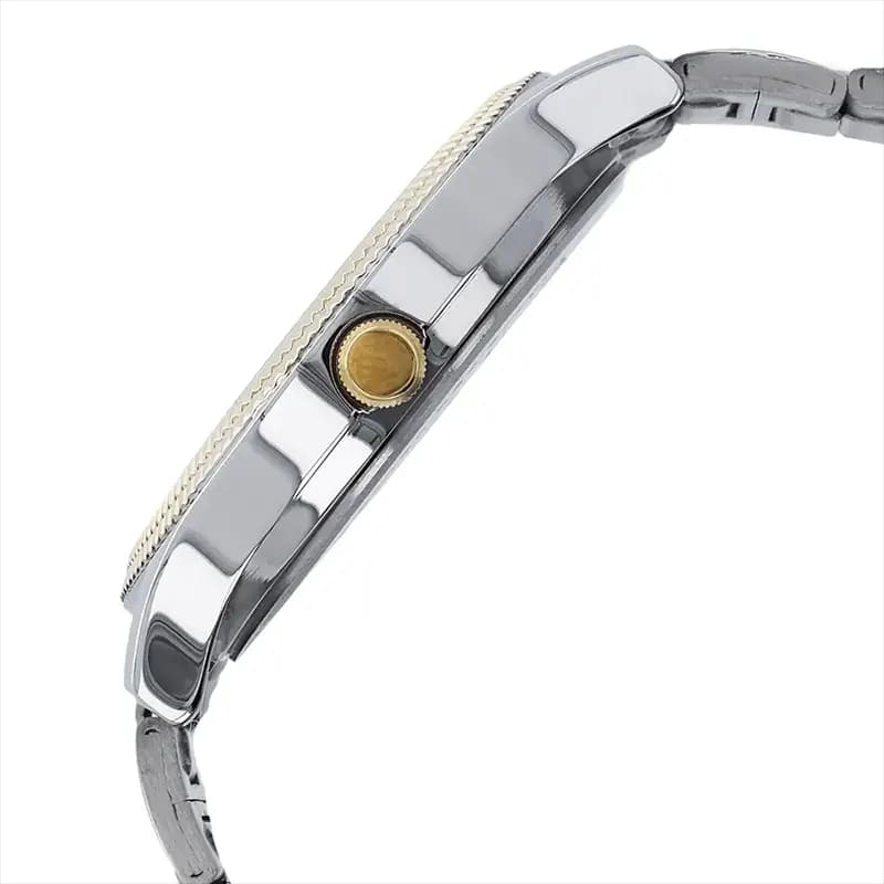 Titan 1650BM03 Karishma Silver Dial Two tone Men's Watch