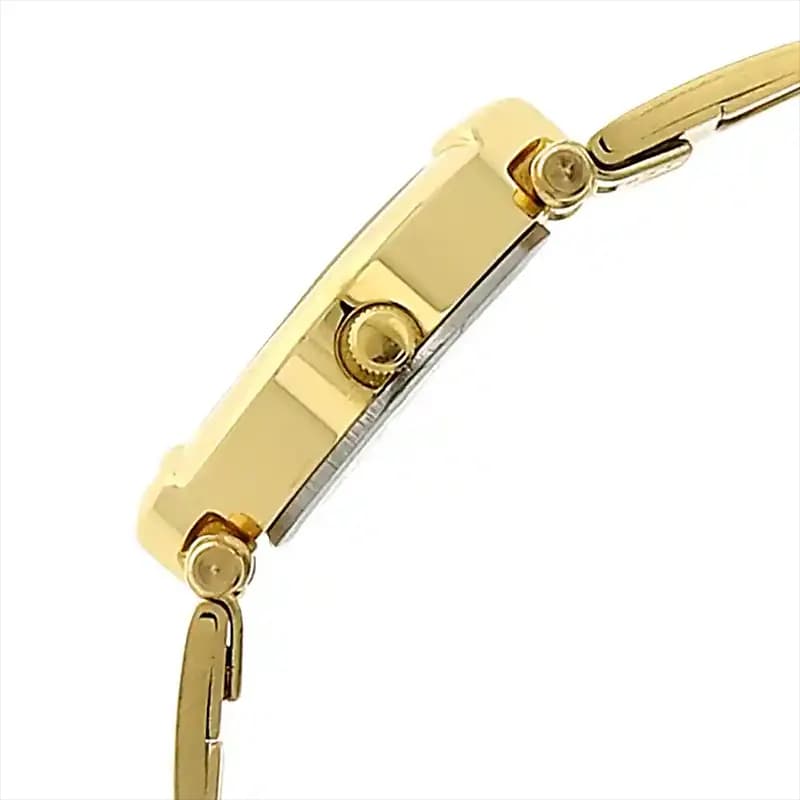 Titan 2417YM01 Silver Dial Gold-tone Ladies Watch