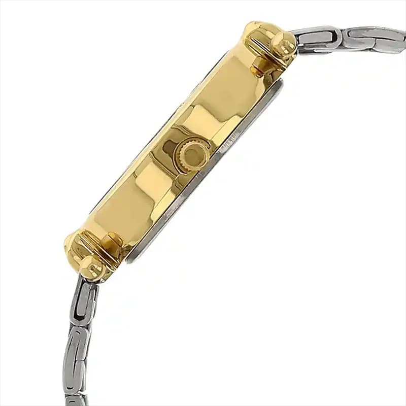 Titan 2418BM01 Silver Dial Two-tone Ladies Watch