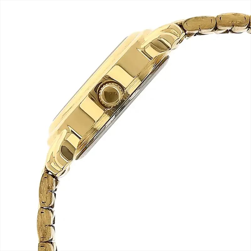Titan 2534YM01 Champagne Dial Ladies Watch