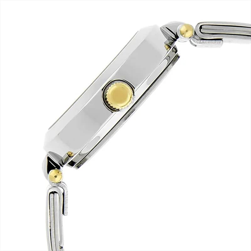 Titan 2574BM01 Silver Dial Two-Tone Ladies Watch