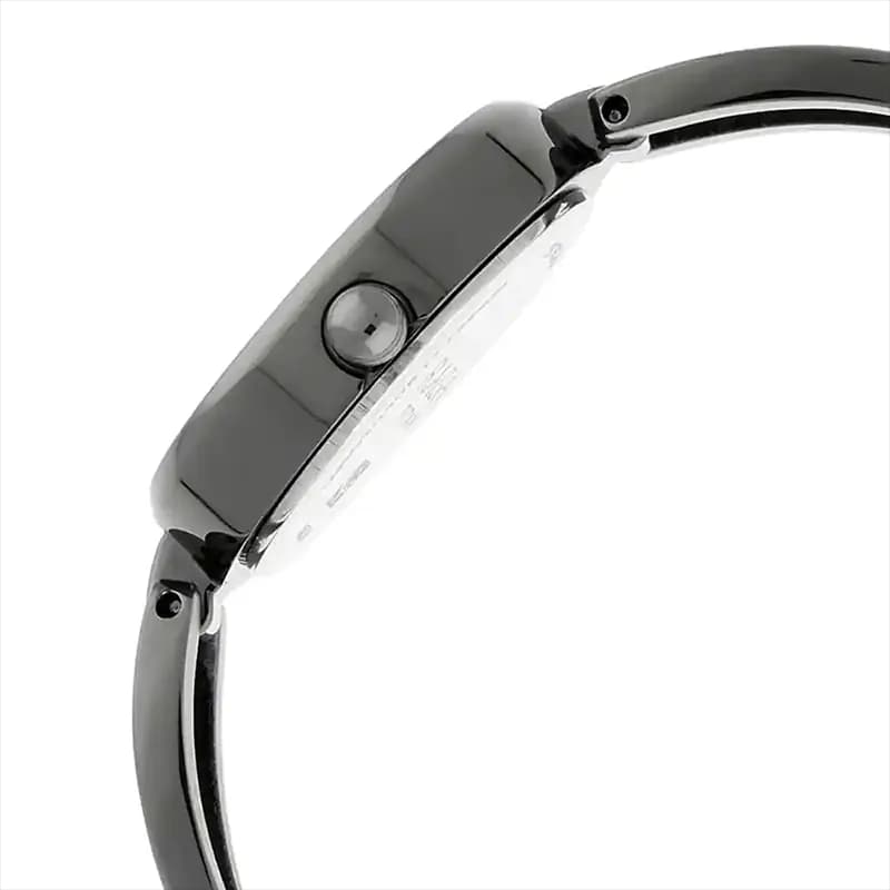 Titan 2579QM01 Raga Viva Anthracite Dial Ladies Watch