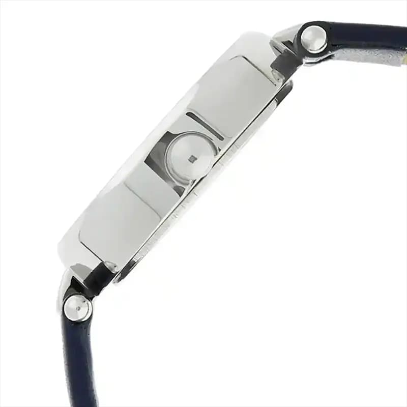 Titan 2579SL01 Raga Viva Silver Dial Ladies Watch