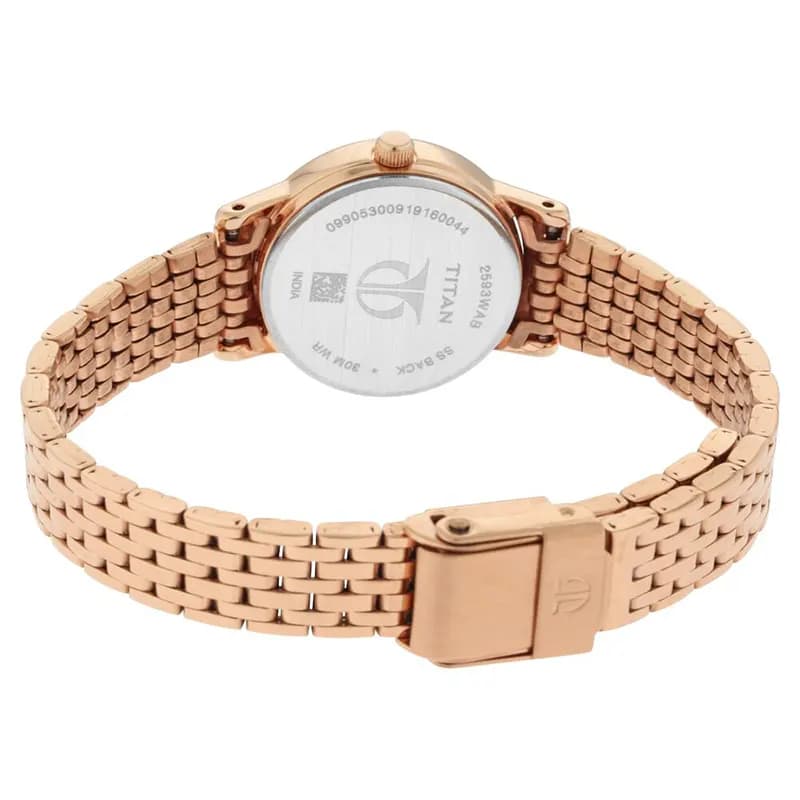 Titan 2593WM02 Rose Gold Dial Rose Gold-tone Ladies Watch secondary view