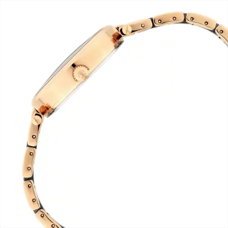 Titan 95061WD03 Black Mother-of-Pearl Dial Ladies Watch