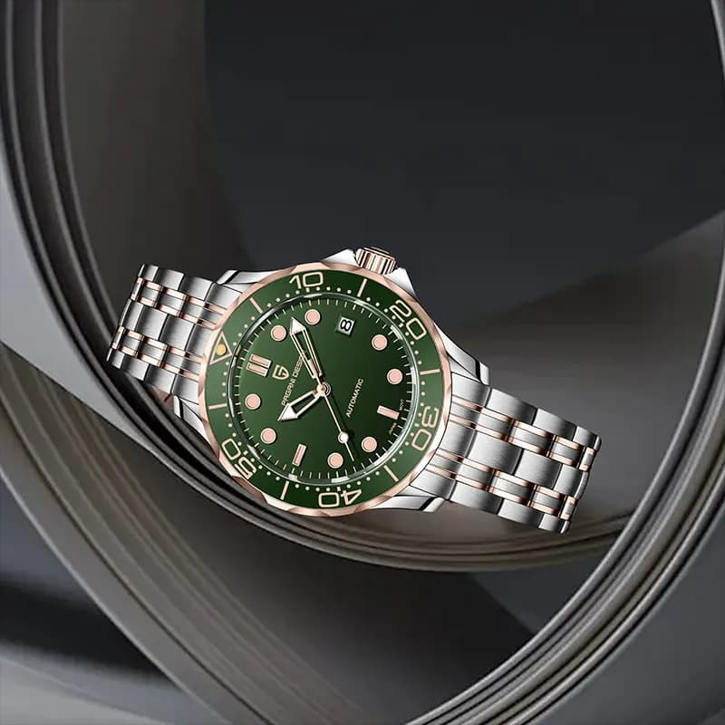 Pagani Design PD-1685 Green Dial Two-tone Men's Watch