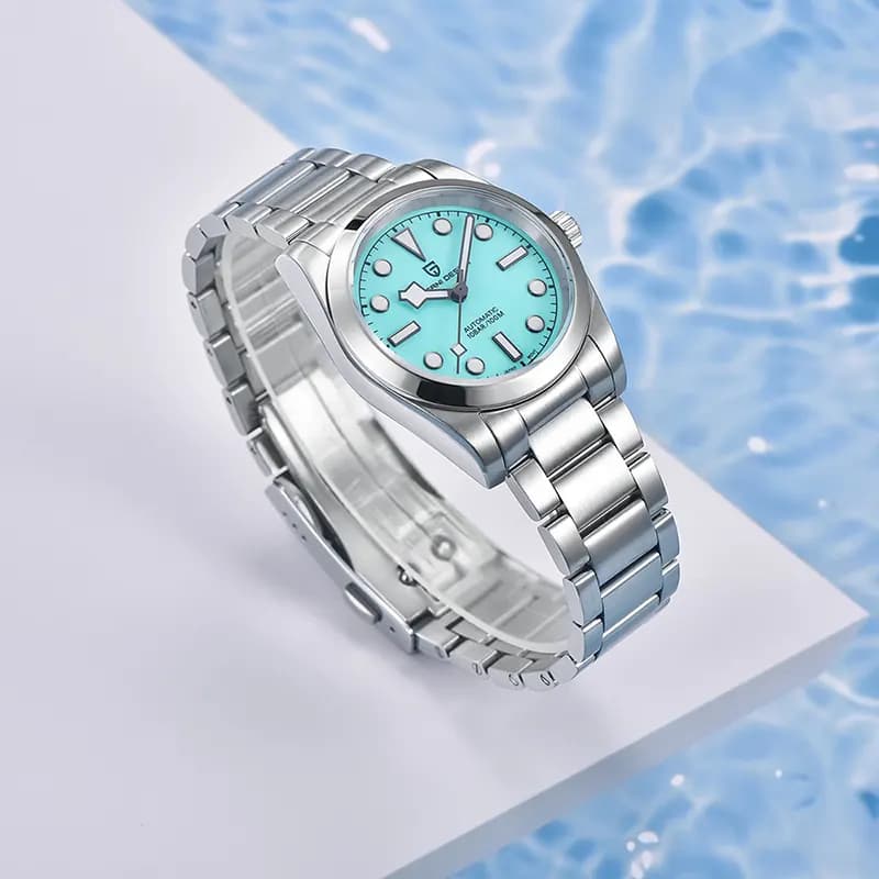 Pagani Design PD-1716 Snowflake Pointer Men's Watch