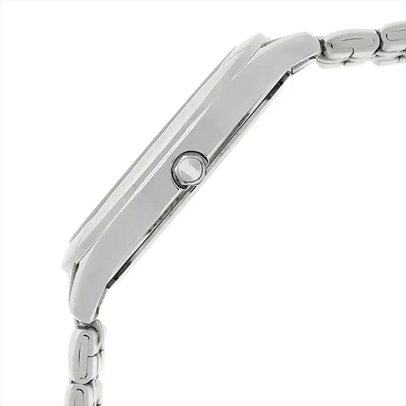 Titan 1494SM01 Silver Dial Men’s Watch