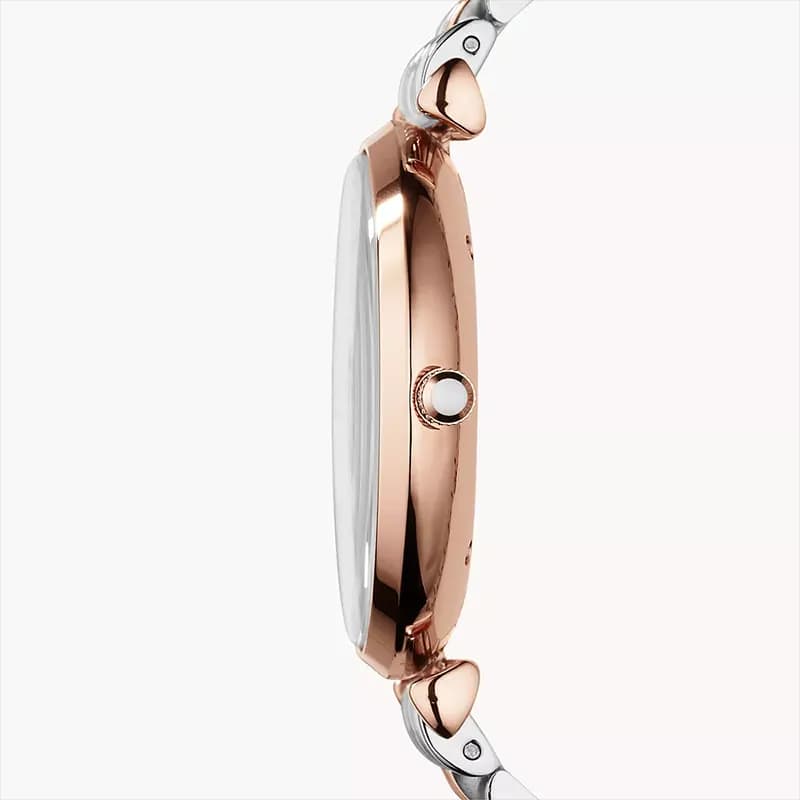 Emporio Armani Classic Silver Dial Two-Tone Men's Watch | AR1677