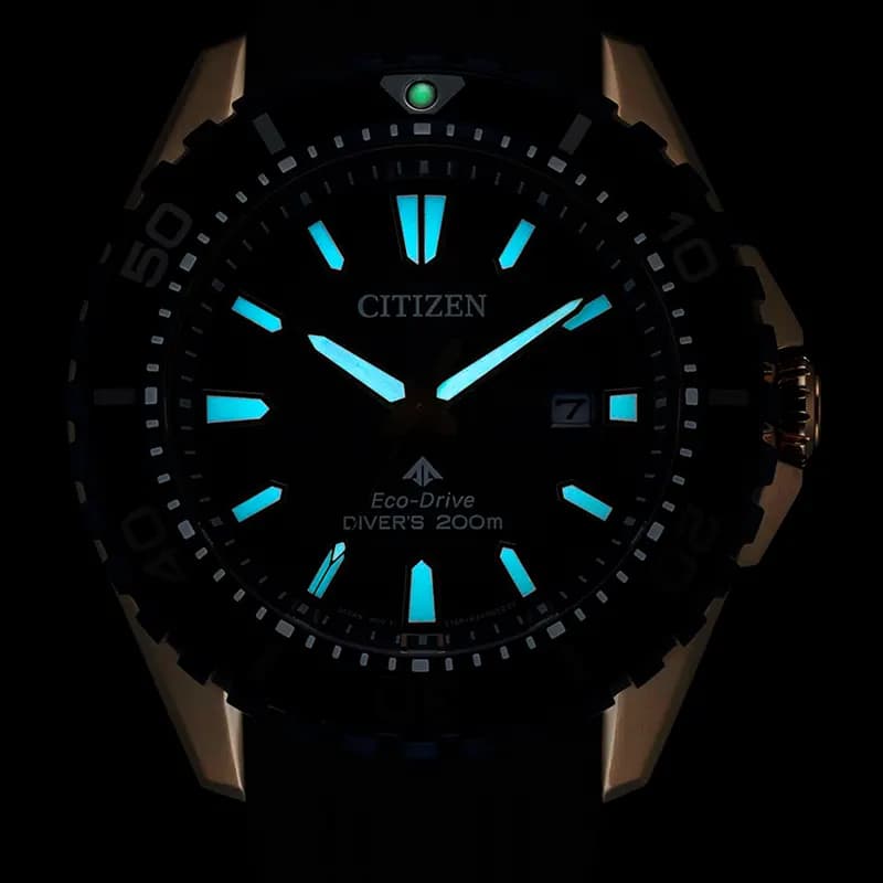 Citizen Promaster Dive Eco-Drive Blue Dial Men's Watch | BN0196-01L