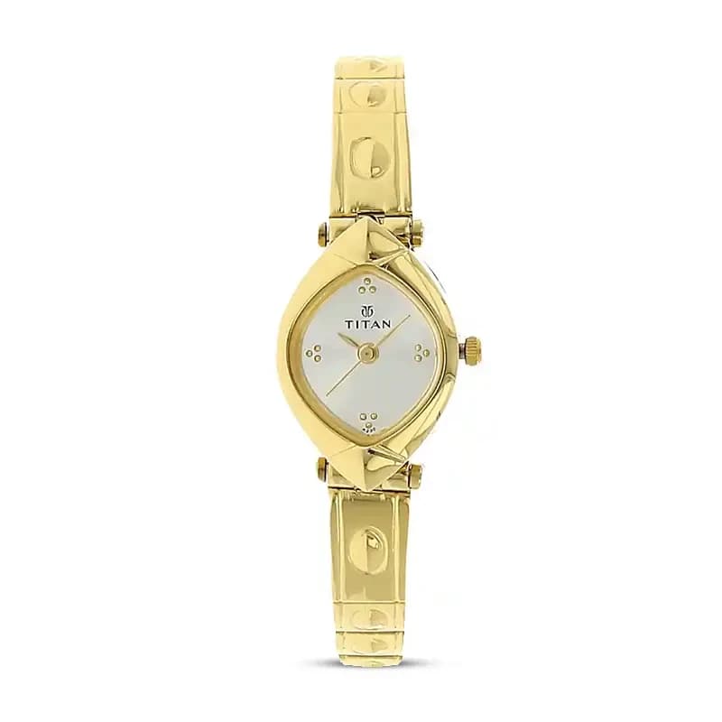 Titan 2417YM01 Silver Dial Gold-tone Ladies Watch